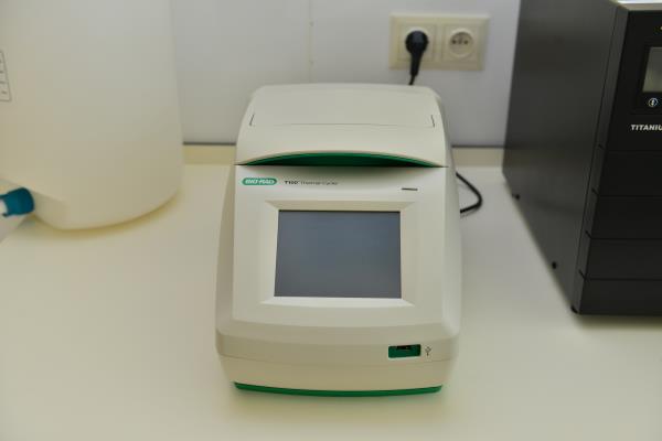 PCR (Thermocycler)